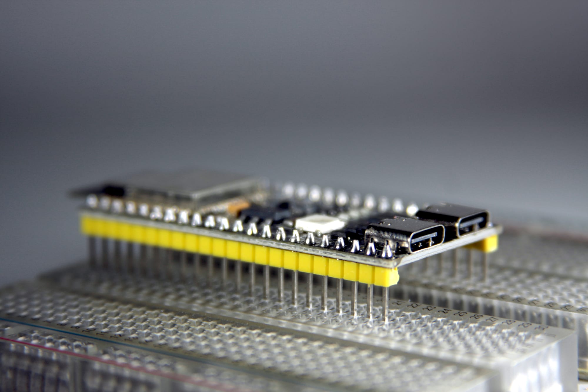 ESP32 module on a breadboard. Photo: Jay J. Reszka